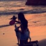Foto del perfil de Jacqueline Marie Alzamora Armella