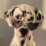 Foto del perfil de Luna Valentina Moscoso Oliva