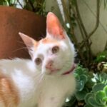 Foto del perfil de Daniela González Rodríguez