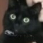 Foto del perfil de Alejandro Reyes Restrepo