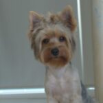 Foto del perfil de dana