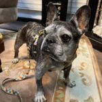 Foto del perfil de Isabella