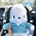 Foto del perfil de Valentina Pulido Rodriguez