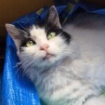 Foto del perfil de Juana María Gómez