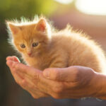 Foto del perfil de Jacobo Aristizabal Castellanos