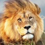 Foto del perfil de Cristian Leonardo Burgos Suescun