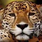 Foto del perfil de Katherine Lucía Gil García