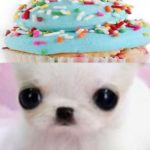 Foto del perfil de Juana Giraldo