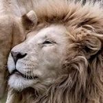 Foto del perfil de Gabriel León