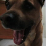 Foto del perfil de fd.riveram@uniandes.edu.co